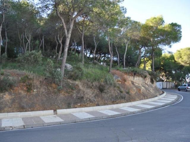 Terreno en venta Chiva
