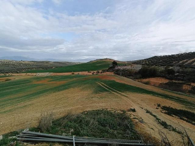Terreno en venta Cijuela