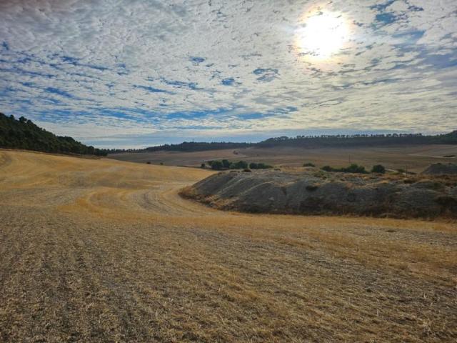 Terreno en venta Cistérniga