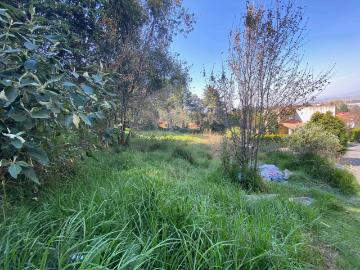 Terreno en Venta Club de Golf Los Encinos