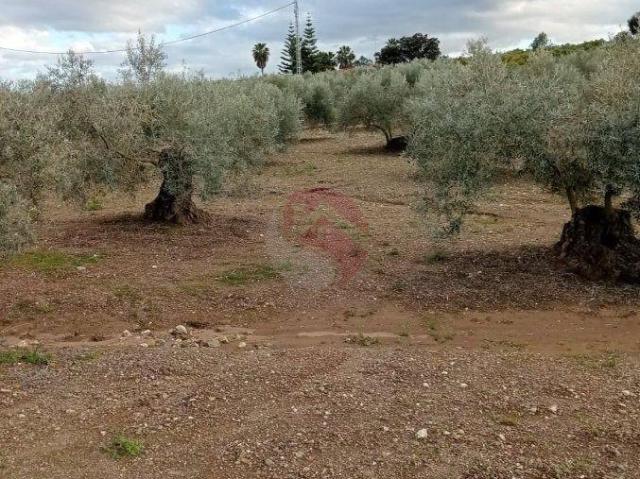 Terreno en venta Coín