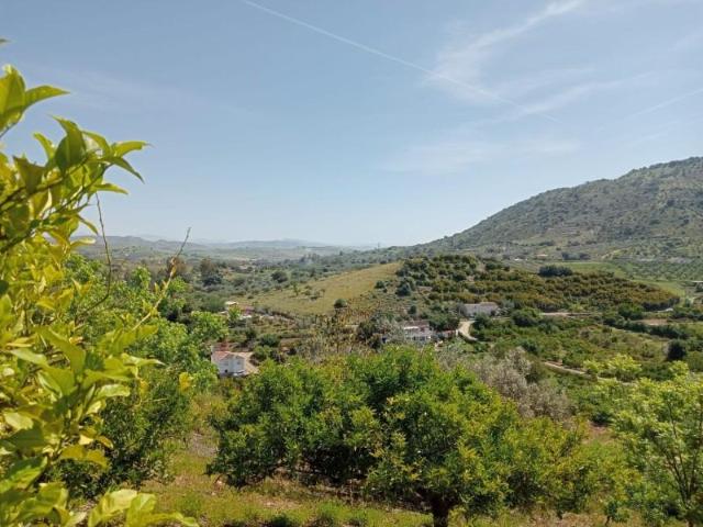 Terreno en venta Coín