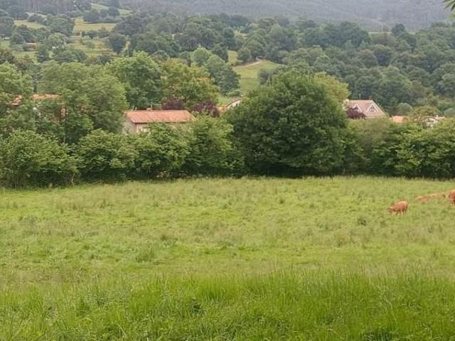 Terreno en venta Coó