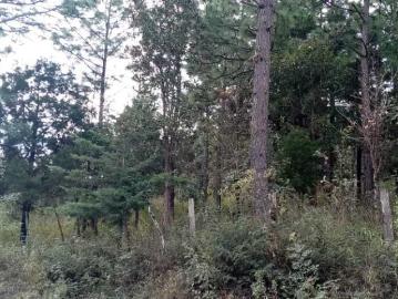 TERRENO EN VENTA, COL. CHIJILTE, TEOPISCA, CHIAPAS