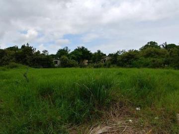 Terreno en Venta, col. Miramar, Tampico Alto