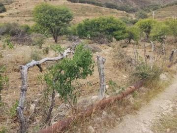 Terreno en venta Colomos Calvillo Aguascalientes