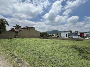 Terreno en venta Colinas Santa Anita