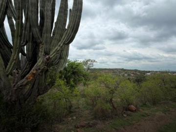 Terreno en Venta Comanjilla Leon
