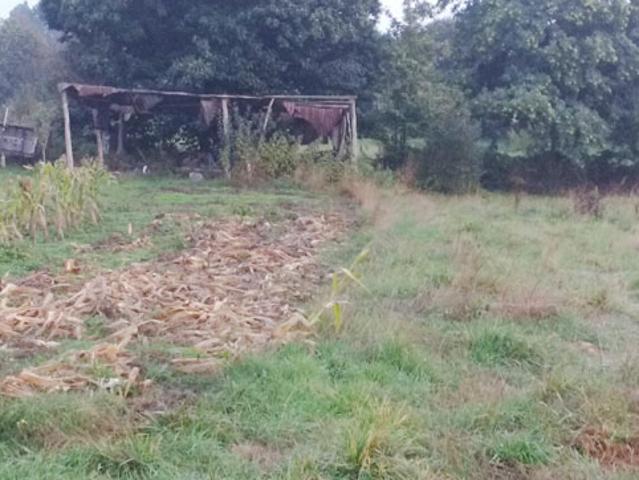 Terreno en venta con 503 m2, en San Xusto da Repostería Palas de Rei