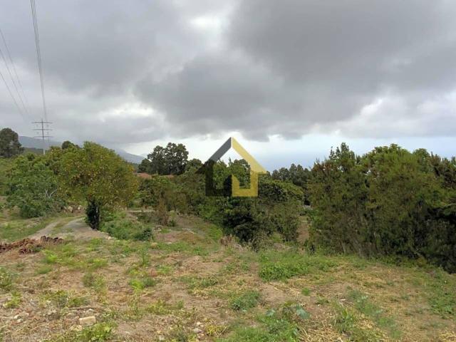 Terreno en venta con 7000 m2, en Icod de los Vinos