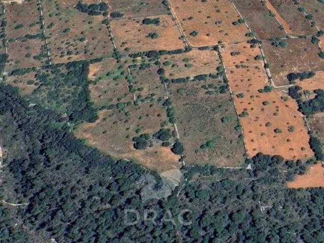 Terreno en venta con 0 m2, en CALONGE Santanyí, Calonge