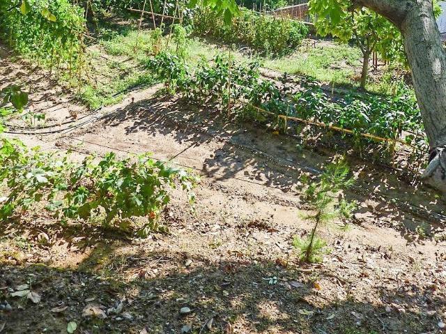 Terreno en venta con 0 m2, en Esparreguera, CAN RIAL