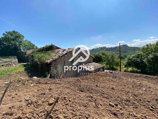 Terreno en venta con 0 m2, en Sariego