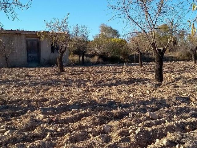 Terreno en venta con 0 m2, 1 dormitorios en Castalla