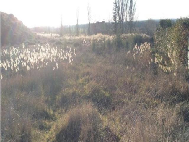 Terreno en venta con 115 m2, en Monzón de Campos, Monzon De Campos