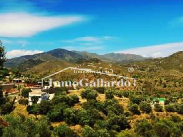 Terreno en venta con 1368 m2, en Ojén