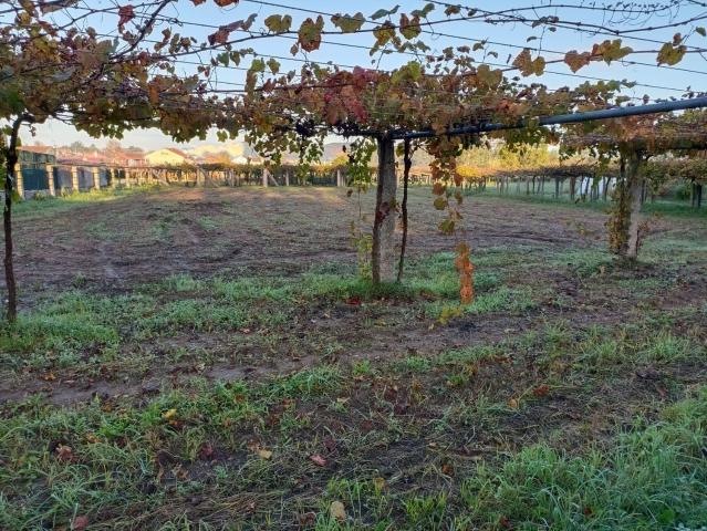 Terreno en venta con 1800 m2, en Vilalonga Sanxenxo