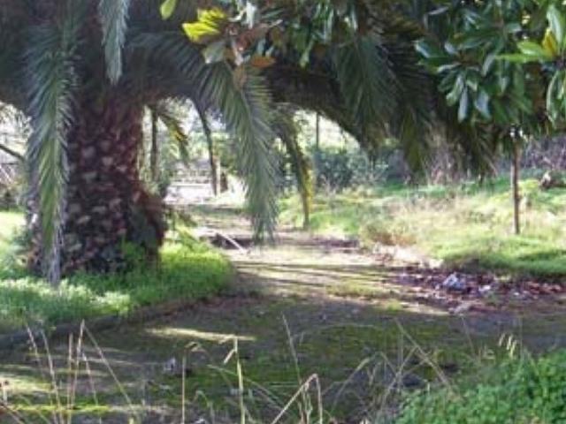Terreno en venta con 2273 m2, en Avilés Avilés Concejo