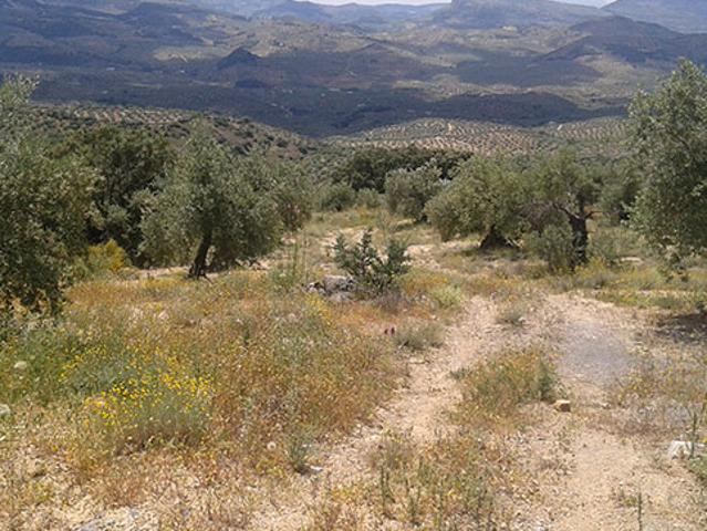 Terreno en venta con 2675 m2, en Castillo de Locubín