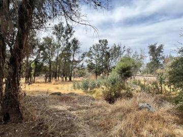 Terreno en Venta con uso de suelo múltiple