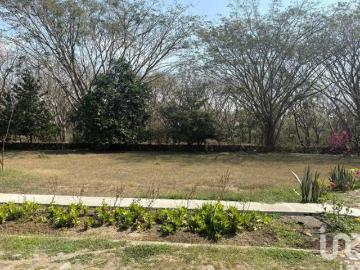 TERRENO EN VENTA CON VARIEDAD DE VEGETACIÓN TROPICAL EN COMALA, NOGUERAS, COLIMA