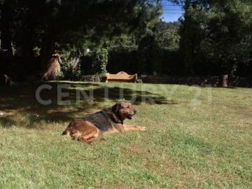 Terreno en venta con vista al bosque