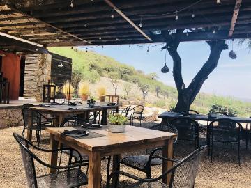 Terreno en venta con viñedo en Querétaro
