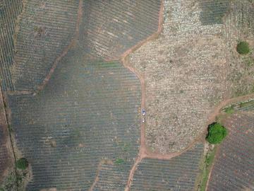 Terreno en venta con agave en El Arenal Jalisco 29 hectareas