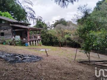 Terreno en Venta con cabaña, Rancho Viejo, Tlalnelhuayocan, Veracruz