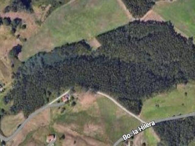 TERRENO EN VENTA CON EUCALIPTO