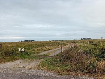 Terreno en venta con frente de mar en EL BAYO