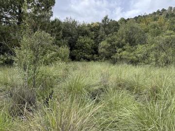 Terreno en venta con hermosas vistas