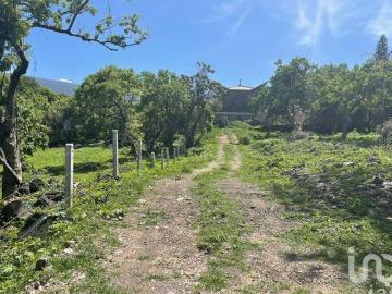 Terreno en Venta, Conjunto Amates en Tepoztlán, Morelos