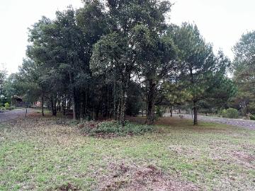 Terreno en Venta Corazon de Durazno Patzcuaro