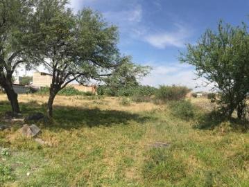 Terreno en venta Cortazar, Gto. 4