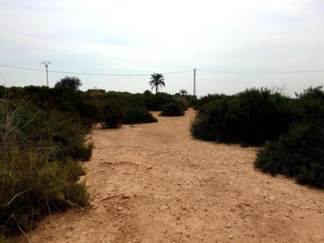 Terreno en venta Crevillent