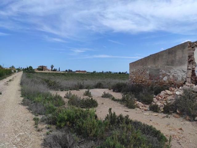 Terreno en venta Crevillent