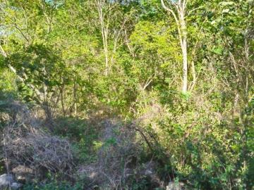 Terreno en venta de 1164 m² en Pueblo Baca