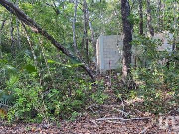 EN VENTA MACROLOTE DE 1 HECTAREA REGION 12,TULUM A 10 MINUTOS DE LA PLAYA
