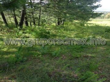 Terreno en venta de 2.6has en Amealco, Querétaro