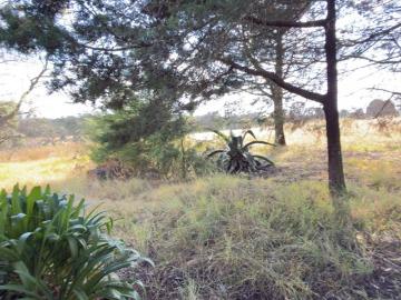 Terreno en Venta de 2 Hectáreas con Casa de Campo en Amealco, Qro. Escritura y Zona Boscosa