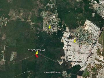 Terreno en venta de 3 hectáreas sobre carretera Mérida Tetiz, Ucú, Yucatán