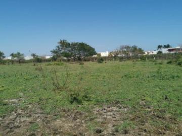 Terreno en venta de 5 Hectáreas en Primero de la Palma Junto al Fraccionamiento Las Palmas Medellín