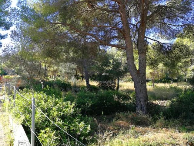 Terreno en venta Denia