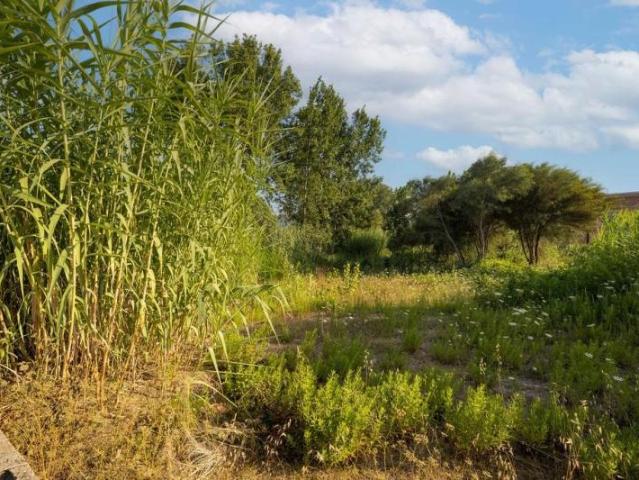 Terreno en venta Denia