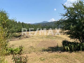 Terreno en Venta desarrollo Monarca