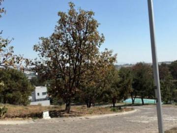 TERRENO EN VENTA | DIANA NATURA | VISTAS PANORAMICAS