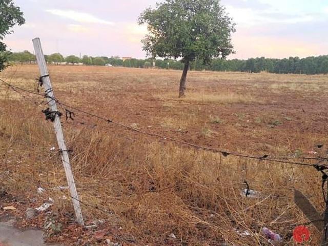 Terreno en venta Dos Hermanas