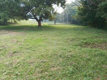 Terreno en venta Dos Montes Bajío