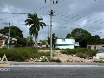 TERRENO EN VENTA EUCALIPTO ALTAVISTA